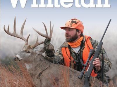 The Big Book of Whitetail